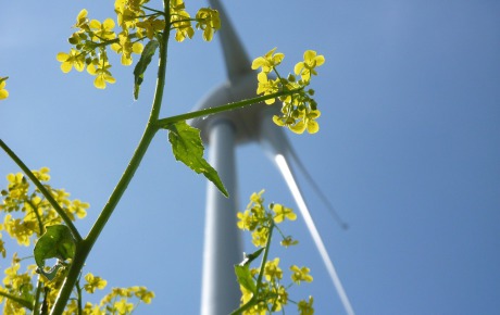 Green Planet Energy ökostrom Bremen